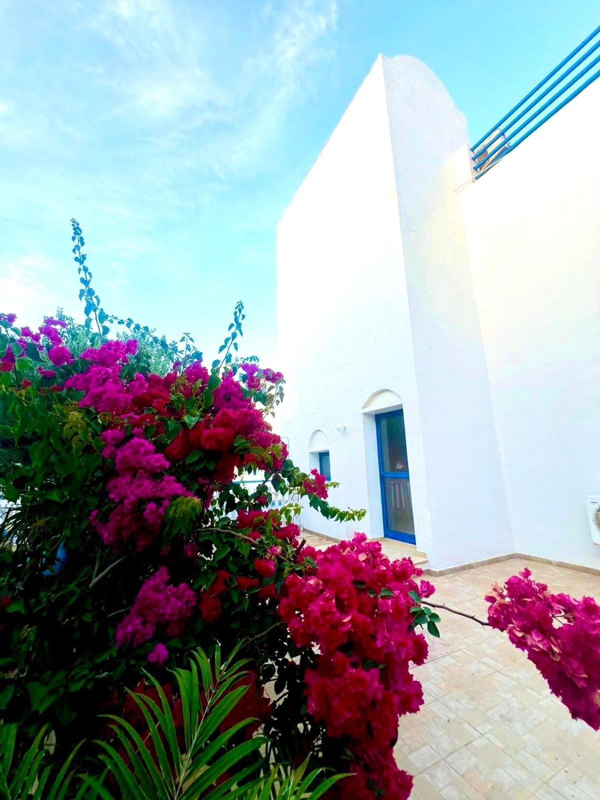 St Nicolaos Villa Ekaterina 3 Bdrm Protaras Zewnętrze zdjęcie